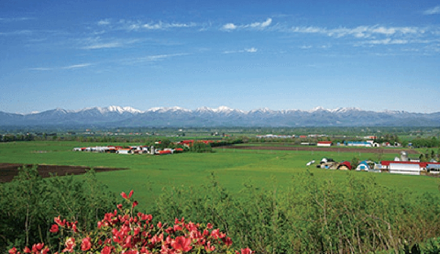 北海道 十勝平野